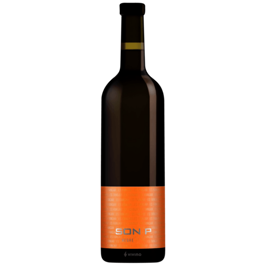 Son P- Es Fangar -Mallorca